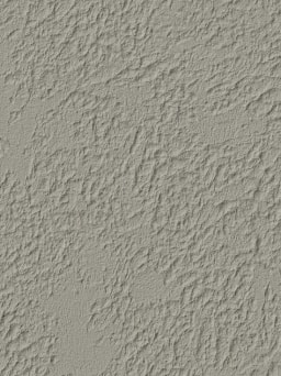 Gabbro With Texture