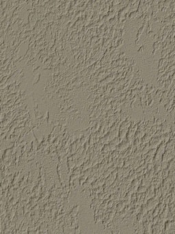 Lute With Texture