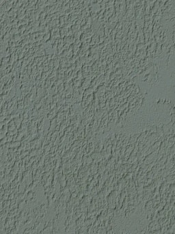 Nautilus With Texture