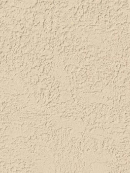 Sienna With Texture