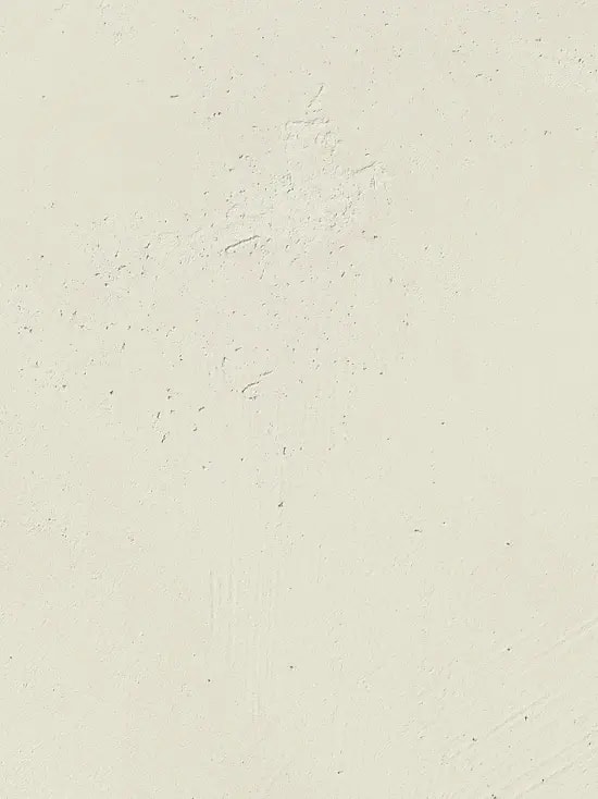 Snow (202) — Rifine Mineral Shade