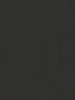 Carbon Mineral Shade