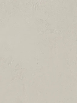 Mushroom Mineral Shade