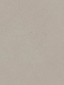 Moleskin Mineral Shade