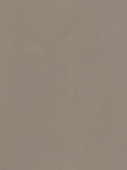 Moleskin A Subtle Nuance