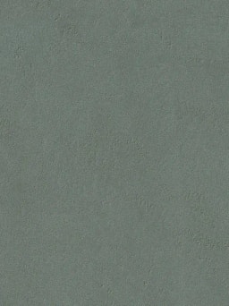 Nautilus Mineral