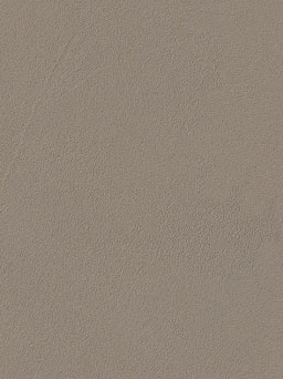 Moleskin Polished