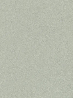 Ceylon Polished