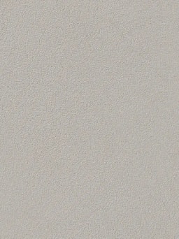 Moleskin Polished