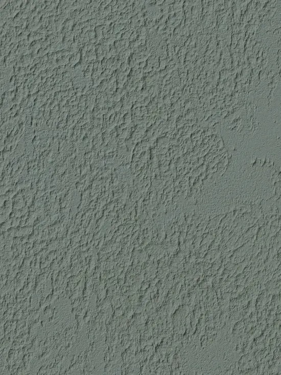 Nautilus (207)