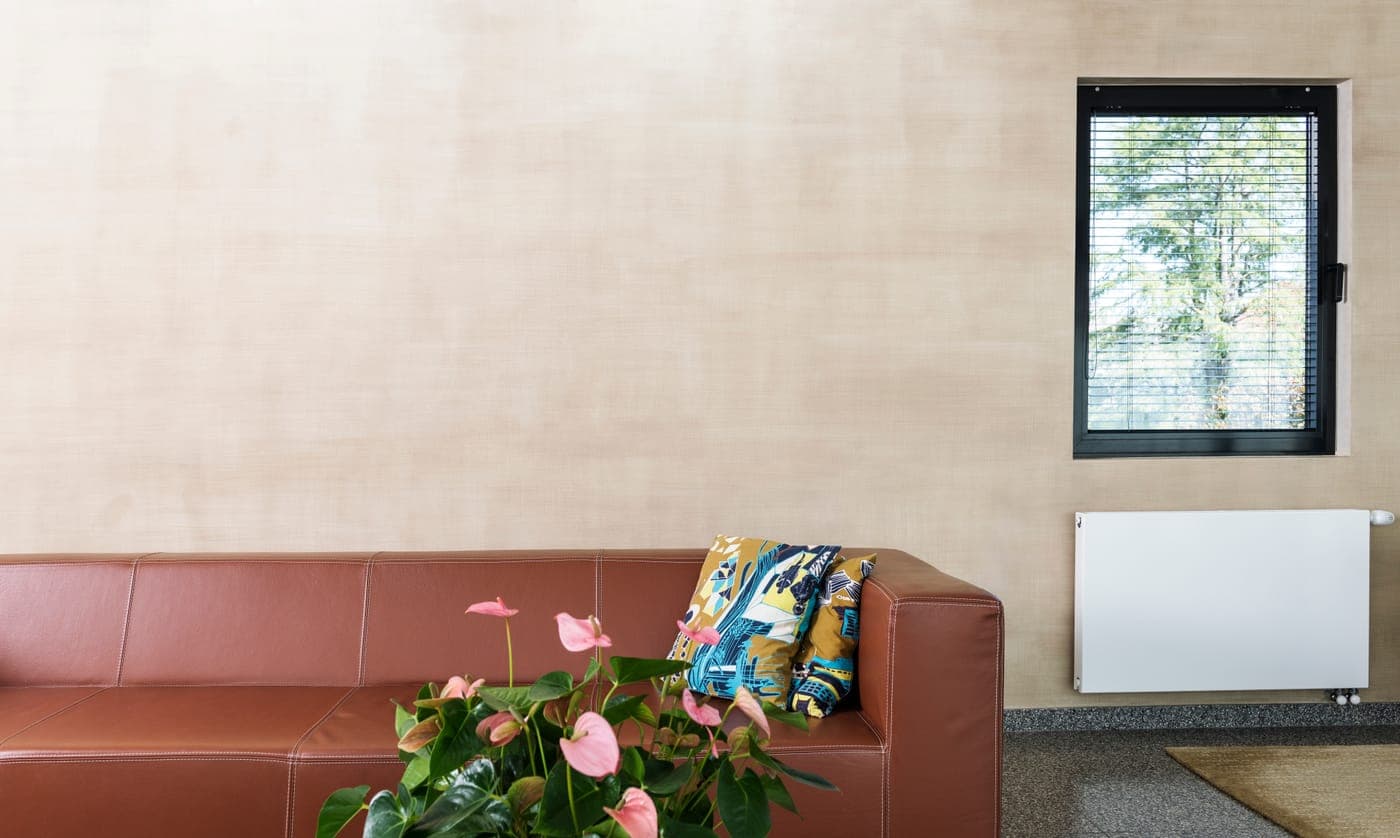 A wall painted in soft, matt limewash.